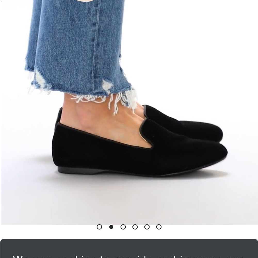 Birdies Starling black velvet